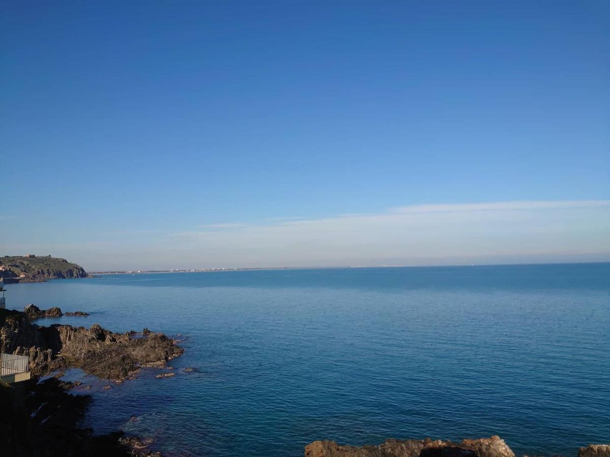 4Rb4 Appartement Type T2 Bord De Mer Acces Plage Direct Collioure Exterior photo