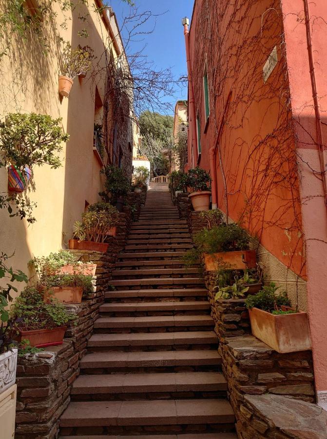 4Rb4 Appartement Type T2 Bord De Mer Acces Plage Direct Collioure Exterior photo
